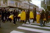 cayenne carneval